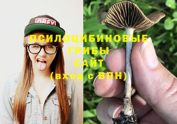 спиды Абдулино