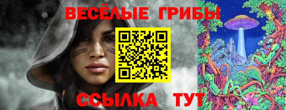 Псилоцибиновые грибы прущие грибы Балаково