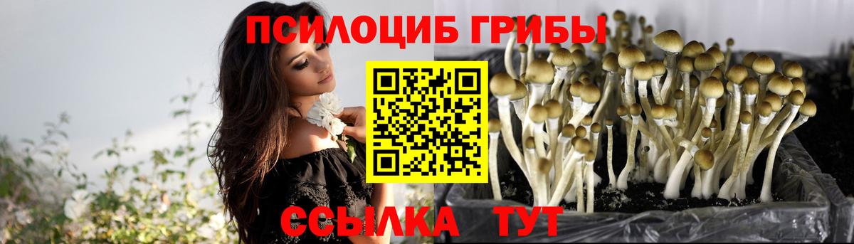 Балаково  Галлюциногенные грибы GOLDEN TEACHER  Вход с VPN 